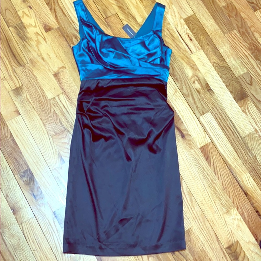 NWT The Limited dress